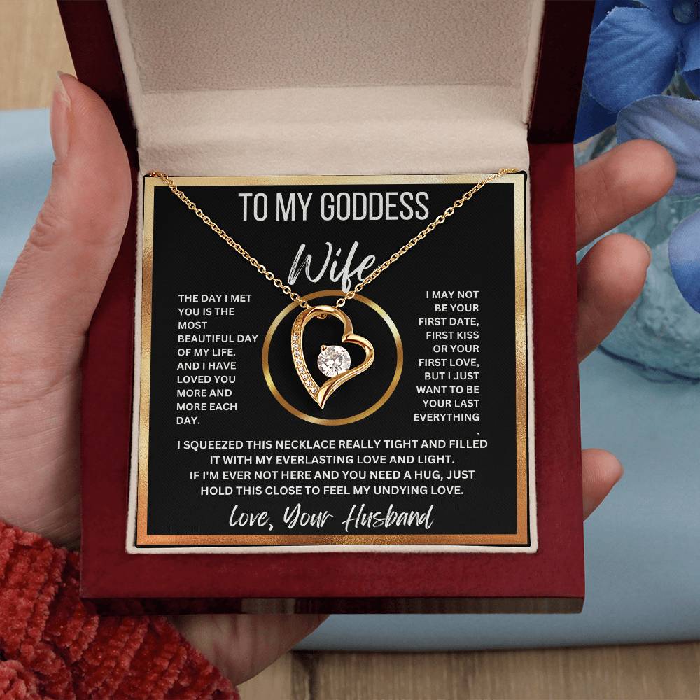 To My Goddess Wife, Take My Undying Love